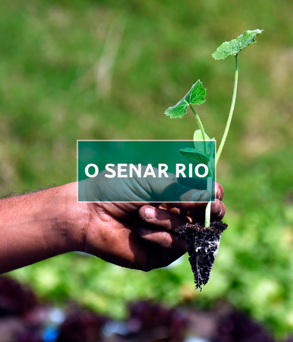 Senar Rio Servi O Nacional De Aprendizagem Rural