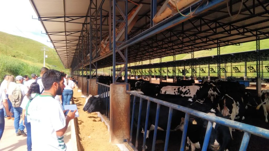 Fazenda com produção de 15.000 litros de leite é laboratório prático dos alunos do Curso Técnico em Barra Mansa