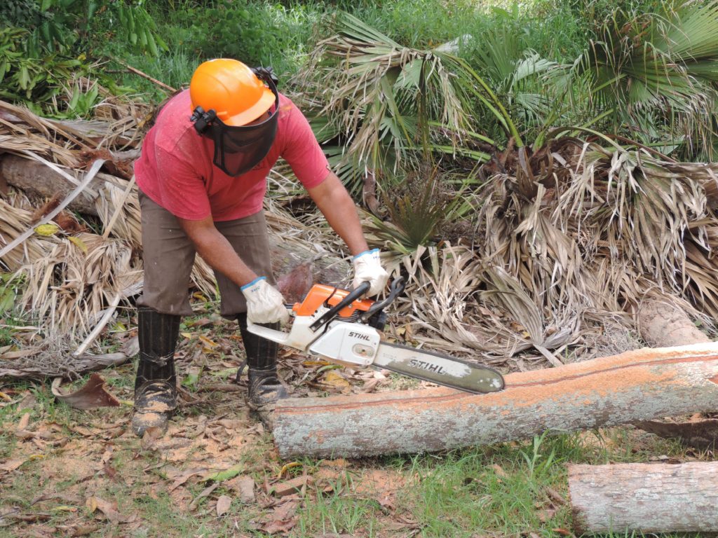 Em ação de Formação Profissional Rural, SENAR Rio e Sindicatos Rurais de Paraíba do Sul e Sapucaia levam treinamento de Manutenção e Operação de Motosserra a trabalhadores rurais