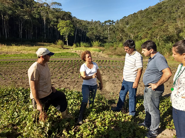 Equipe de ATeG do SENAR Rio realiza visita técnica no município de Petrópolis para atendimento a produtores de hortifrutigranjeiros