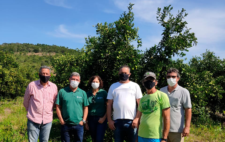 SENAR Rio amplia atuação da Assistência Técnica e Gerencial e inicia atividades na cadeia produtiva da Fruticultura