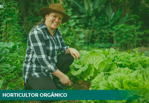 SENAR Rio abre inscrições para curso de Horticultura Orgânica com aulas presenciais e online